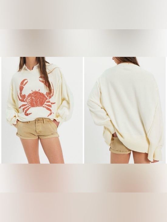 Free People Tops - NWT Free People We The Free Graphic Camden Pullover - crab combo - Large